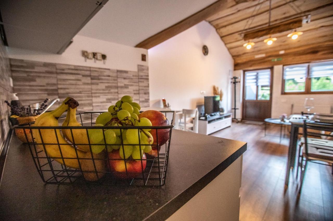 Apartman Mila Josipdol Esterno foto